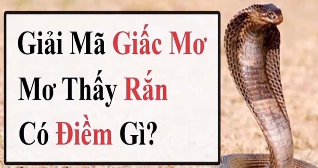 Nằm mơ thấy rắn hổ mang báo hiệu điều gì?