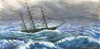 Bí mật về loài rắn biển khổng lồ ở vịnh Along cho bạn đọc quan tâm Loài quái vật biển trong truyền thuyết.