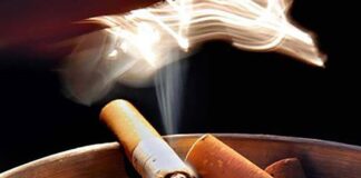 Các loại thuốc lá phổ biến là gì và đặc điểm của từng loại Các loại thuốc lá phổ biến là gì?