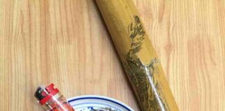 Nguồn gốc của thuốc lào là gì? Vì sao có cái tên đó? Nguồn gốc của thuốc lào và cách gọi