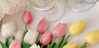 Ý nghĩa của hoa Tulip? Từng màu hoa nói lên điều gì? Hoa tulip màu trắng – sự tinh khiết