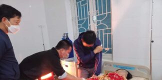 Xử lý khi ngộ độc lá ngón như thế nào? Cần lưu ý điều gì? Độc tính của cây lá ngón