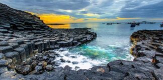 Kinh Nghiệm Du Lịch Phú Yên Tự Túc Từ A Đến Z Mới Nhất Gành Đá Đĩa - Địa điểm check-in lý tưởng tại Phú Yên